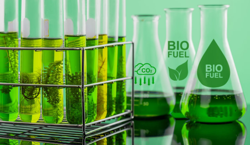 The Chemistry Behind Renewable Diesel